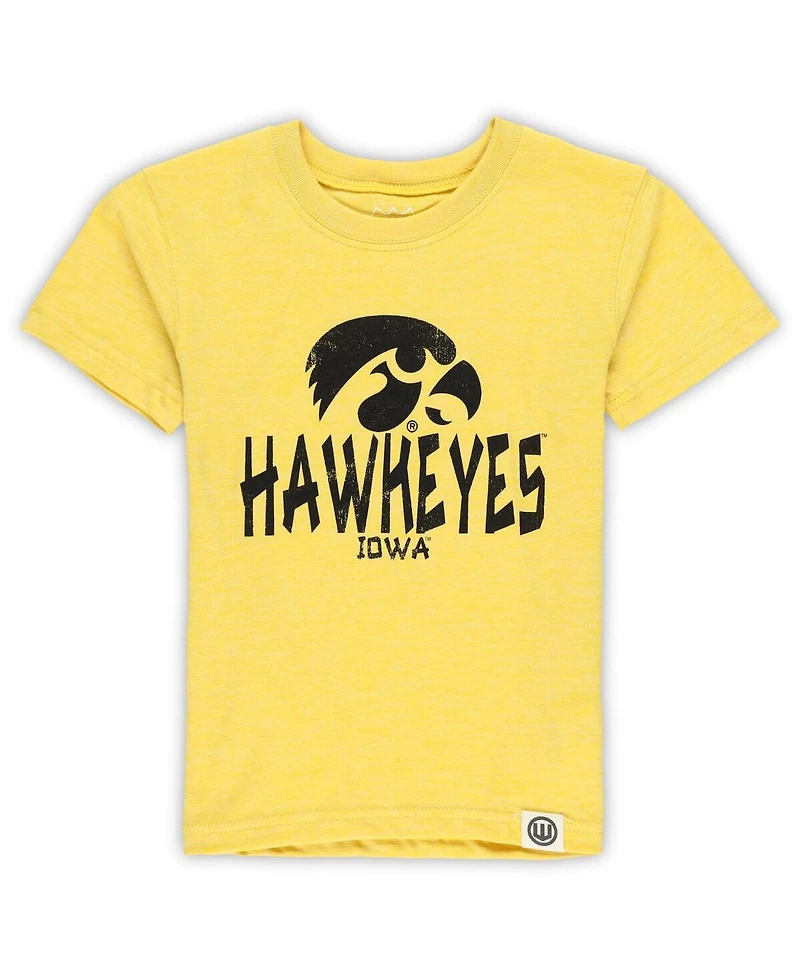 Wes & Willy 2-Piece Toddler Iowa Hawkeyes Cloudy Yarn T-Shirt and Shorts Set