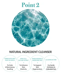 Smart Bubble Cleanser