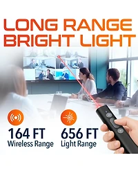 Delton LP21 Wireless Presenter Remote, Laser Pointer (DLP21)