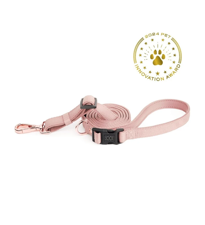 Dogistry City Dog Leash