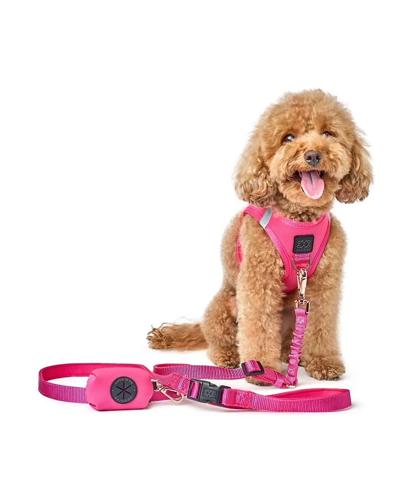 Dogistry 3-in-1 City Dog Leash