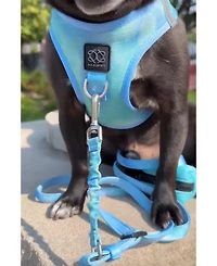 Dogistry 3-in-1 City Dog Leash