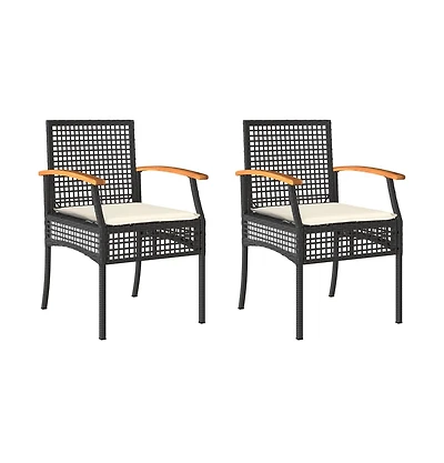 vidaXL Garden Chair Set of 2 Black and brown