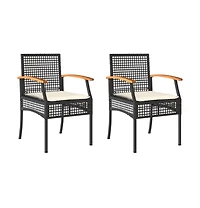 vidaXL Garden Chair Set of 2 Black and brown