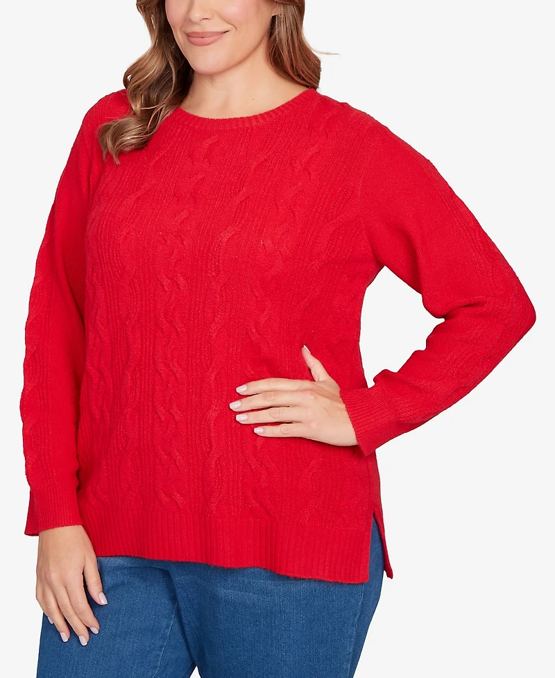 Ruby Rd. Plus Size Mixed Cable Cozy Sweater