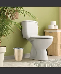 Cameo 5 Liter Waste Basket Can for Garbage, Round Open Top Trash Can for Bathroom Bedroom, Kitchen, Stainless Steel, Fingerprint Resistant