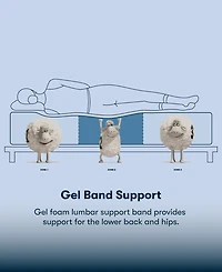 Serta Perfect Sleeper Cobra Lily 10.5" Plush Tight Top Mattress Set, California King