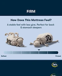 Serta Perfect Sleeper Cobra Lily 10.5" Firm Tight Top Mattress Set, Full
