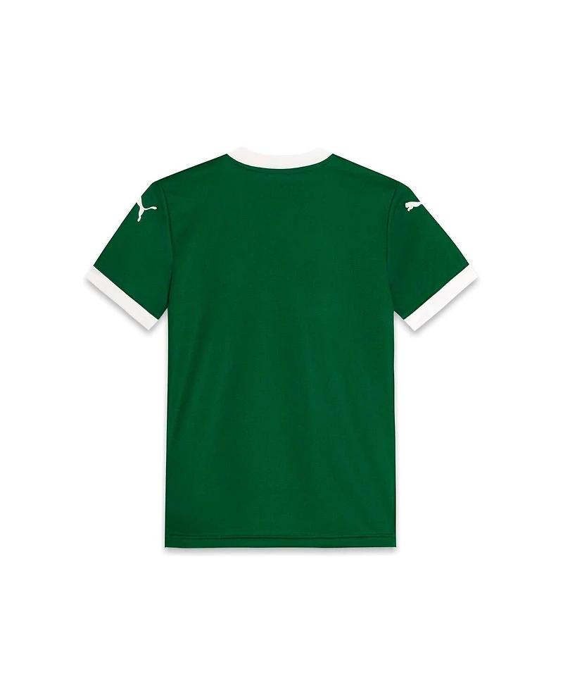 Puma Big Boys and Girls Green Se Palmeiras 2025/26 Home Replica Jersey
