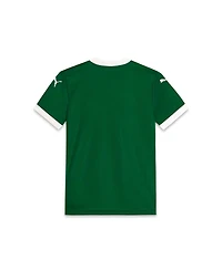 Puma Big Boys and Girls Green Se Palmeiras 2025/26 Home Replica Jersey