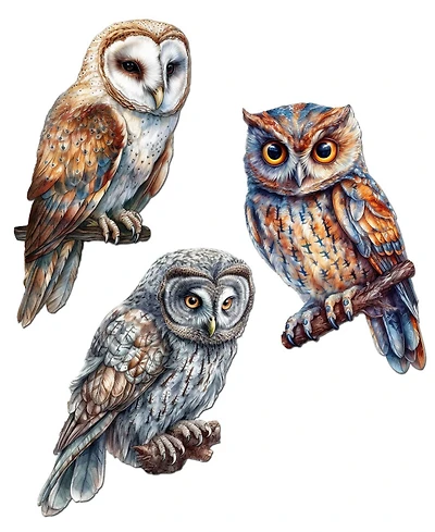 Designocracy Night Owls Wood Clip-on Ornaments, Set of 3
