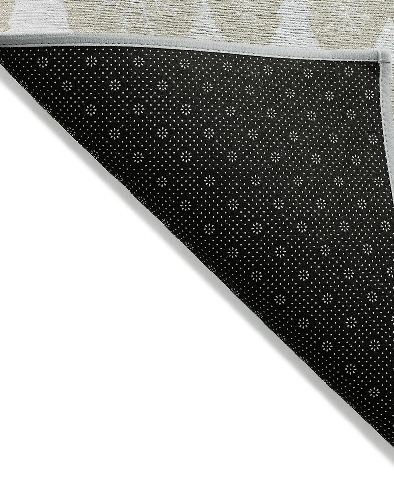 Addison Holiday Washable Indoor/Outdoor ACN1815 8'x10' Area Rug