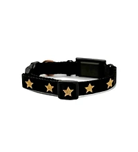 The Dogistry x Fi Rockstar Collar