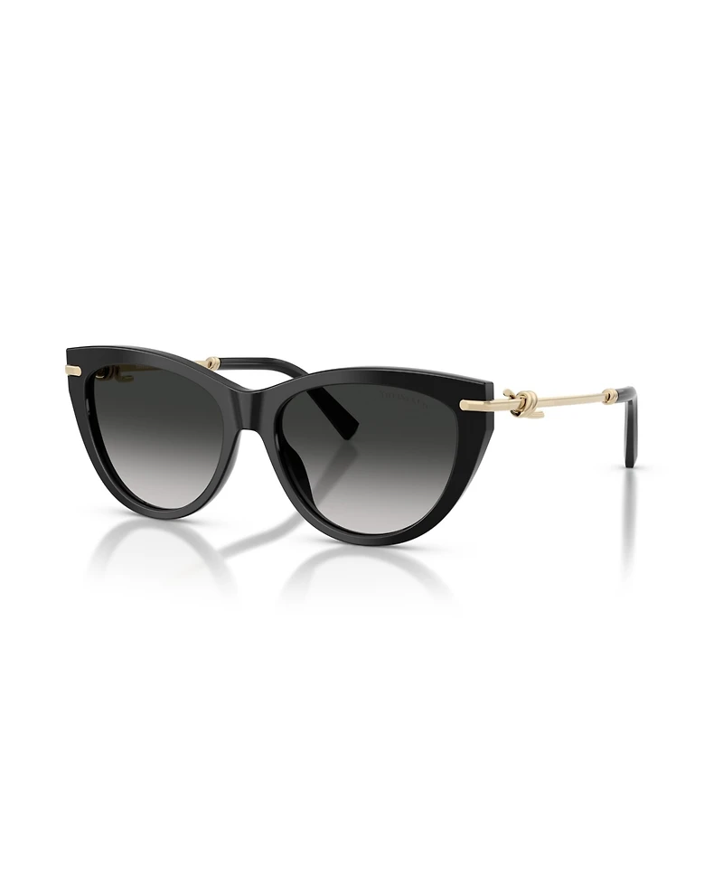 Tiffany & Co. Women's Cat Eye Sunglasses, TF4253