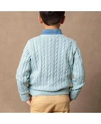 Hope & Henry Baby Boys Long Sleeve Fine Gauge Cable V-Neck Sweater
