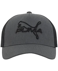 Puma Men's 3D Embroidered Logo Cap