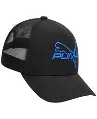 Puma Men's 3D Embroidered Logo Cap