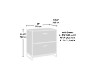 Casainc Storage File Cabinet with 2 Drawers