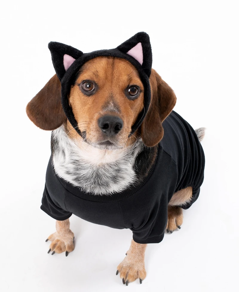 Leveret Dog Cotton Pajama Solid