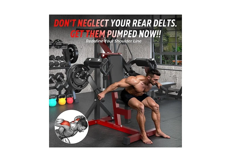 Aecojoy Deltoid and Shoulder Press Machine, 3-in-1 Shoulder-Specific Machine with Shoulder Press, Lateral Raise & Reverse Fly