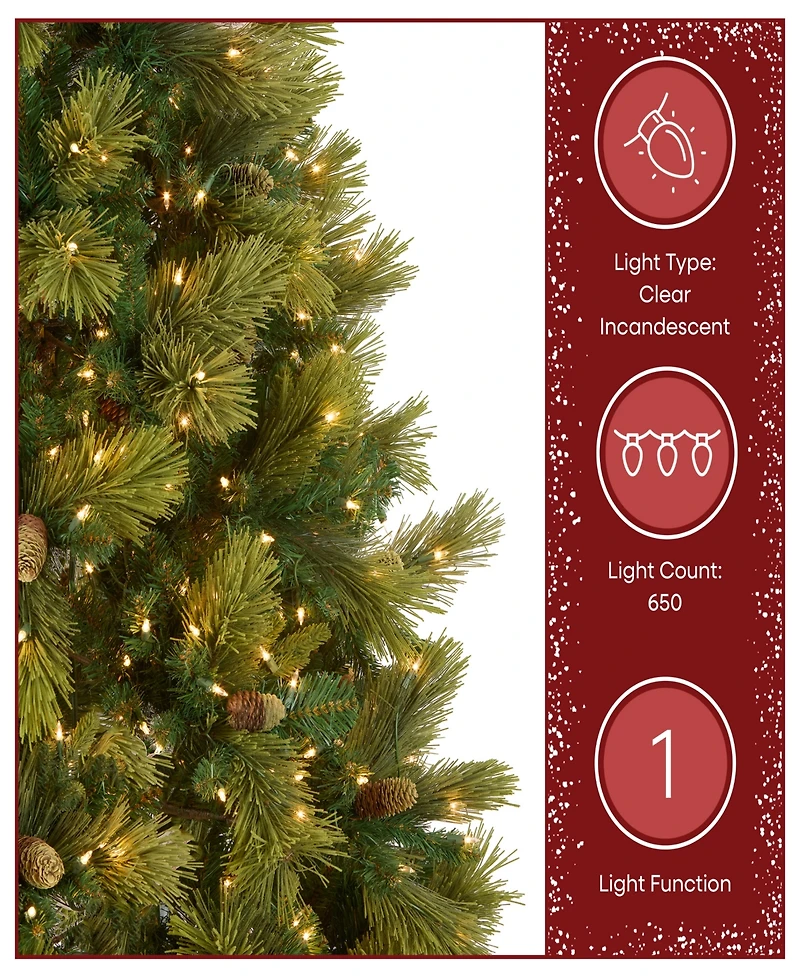 National Tree 6.5' Carolina Pine Tree with 650 Clear Lights