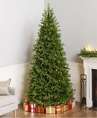 National Tree Company 7.5' Feel Real Princeton Fraser Fir Tree with 800 Dual Color Led Lights & PowerConnect