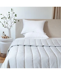 Bokser Home 2 Pack Soft Down Alternative Bed Pillow - Standard/Queen