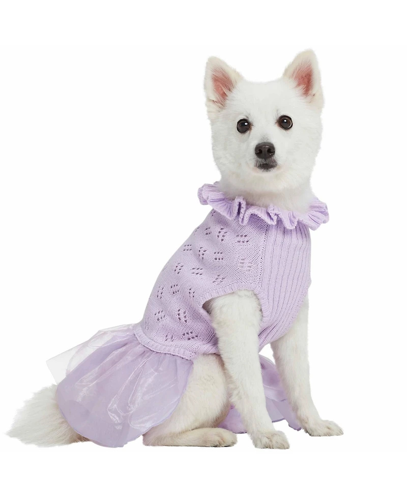 Blueberry Pet My Cutie Princess Ruffle Collar with Layered Tulle Dog Sweater Dress