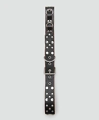 Mango Women's Stud Leather Belt