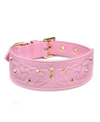 Blueberry Pet Silver Powered Freshness Microfiber Suede Dog Collar X2013 Embossed Classic Pattern With Bronze Studs