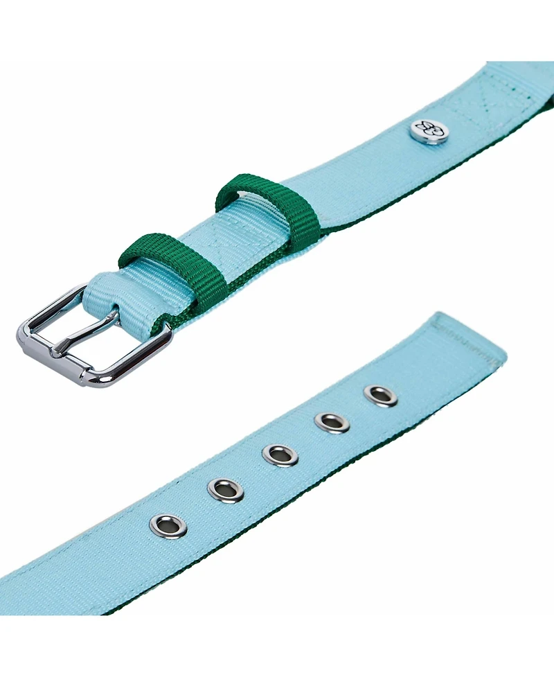 Blueberry Pet Color-Block with Metal Buckle Dog Collar Sky Blue and Dark Green Neck 13"-16.5" Medium