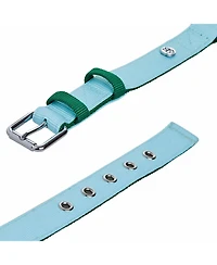 Blueberry Pet Color-Block with Metal Buckle Dog Collar Sky Blue and Dark Green Neck 13"-16.5" Medium