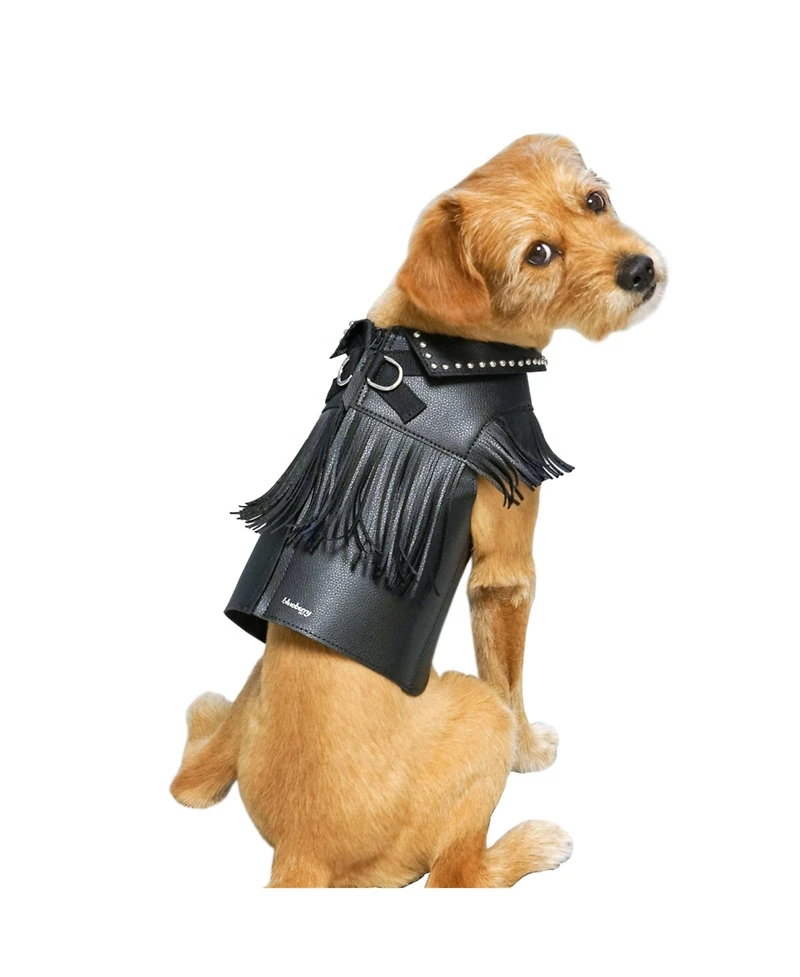 Blueberry Pet Silver-Powered Freshness Microfiber Leather Dog Harness Jacket