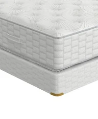 Shifman Wondrous 13 Firm Tight Top Mattress Collection