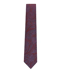 Tommy Hilfiger Men's Silky Paisley Pattern Classic Tie
