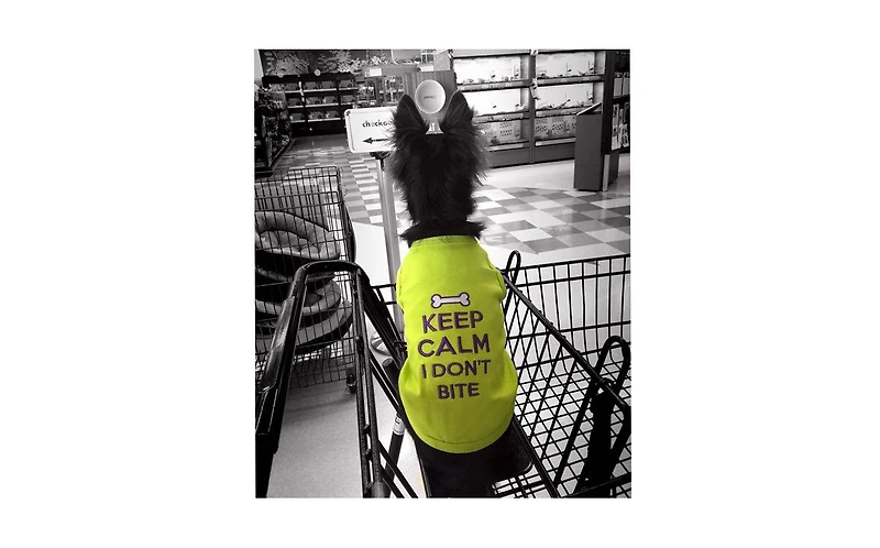 Parisian Pet Keep Calm