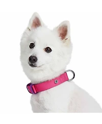 Blueberry Pet Color-Block with Metal Buckle Dog Collar