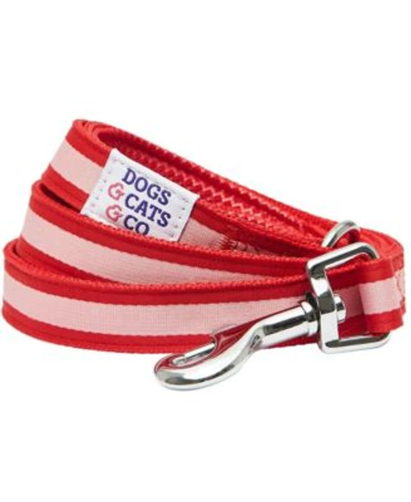 Dogs Cats Co. Striped Dog Leash In Red Pink Size Medium