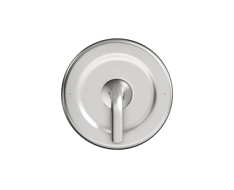 Casainc Moen-Compatible Replacement Shower Trim Kit Stainless Steel Panel and Alloy Lever