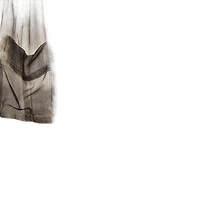 Pre-Owned Roberto Cavalli Women's Brown Animal Print Silk Sheer Shirt
