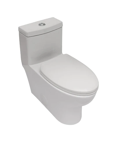 Casainc One-Piece Dual Flush 1.1/1.6 Gpf Elongated Bathroom Fixture Comfort Seat Height,Soft-Close Seat,Glazed Surface