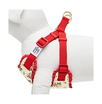 Dogs & Cats Co. Spring Floral Dog Harness with Chest Protection Panel
