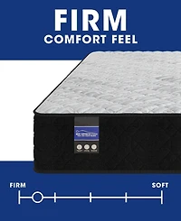 Spring Air Back Supporter Amelia 12" Hybrid Firm Tight Top Mattress Set, Queen