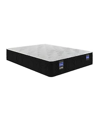 Spring Air Amelia 12" Hybrid Plush Tight Top Mattress, Queen