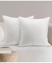 Cheer Collection 95% Feather/5% Down 2-Pack Pillow Inserts, 24" x 24"