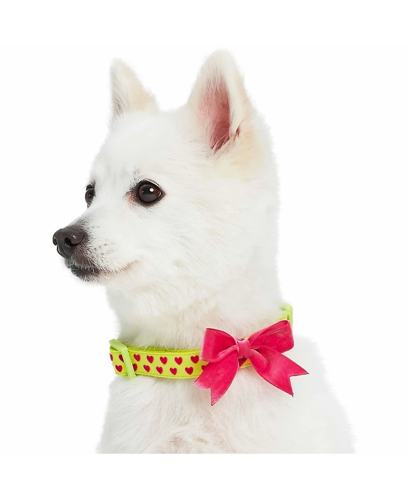 Blueberry Pet Velvety Polka Dot Dog Collar with Bow Baby Pink