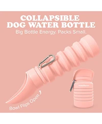 Puppington Collapsible Dog Water Bottle