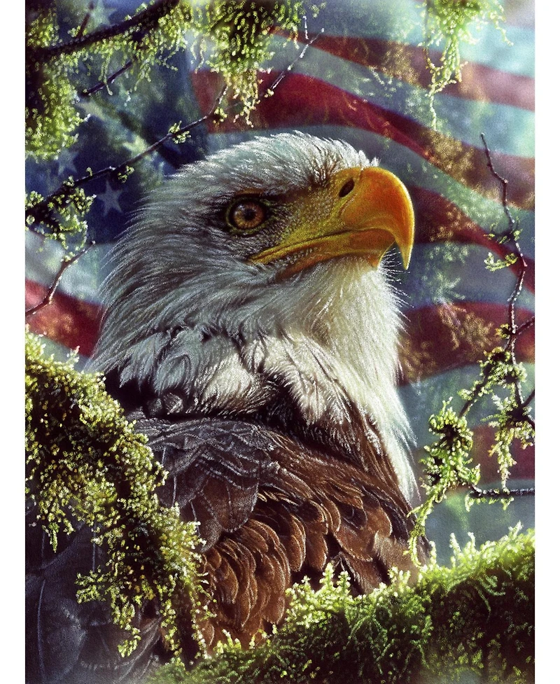 SunsOut Eagle Colors 1000 piece Jigsaw Puzzle for Adults