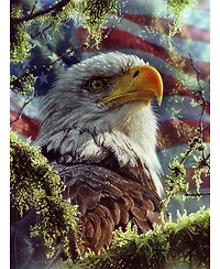 SunsOut Eagle Colors 1000 piece Jigsaw Puzzle for Adults