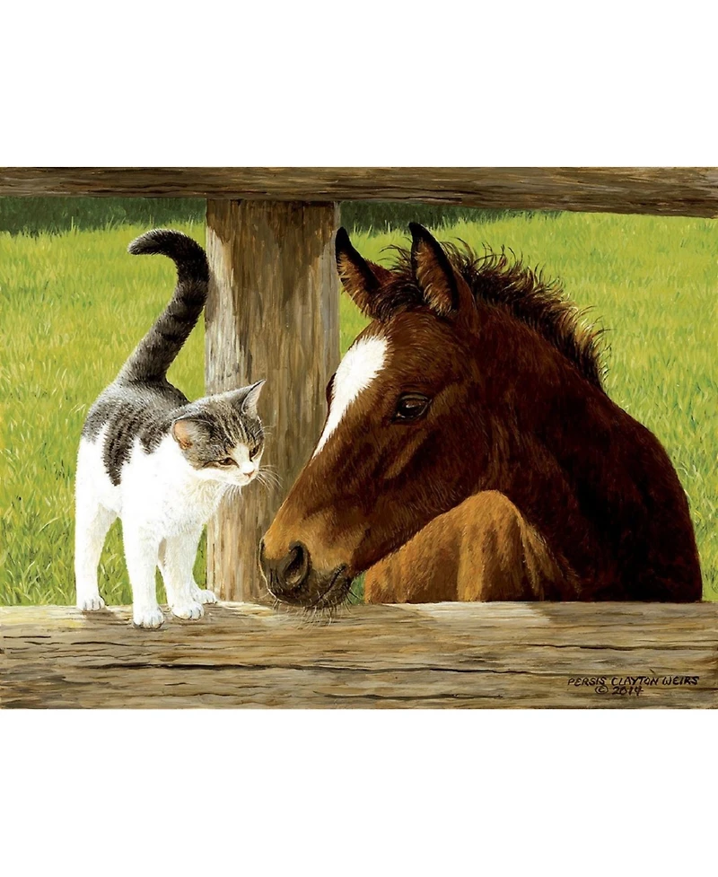 SunsOut A Whiskery Hello 500 piece Jigsaw Puzzle for Adults